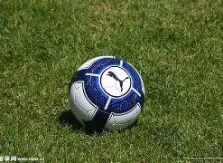 辰龙捕鱼游,戏中心,产品,辰龙捕鱼游戏官网,辰龙捕鱼游戏APP下载,辰龙捕鱼官方网站,辰龙捕鱼游戏中心